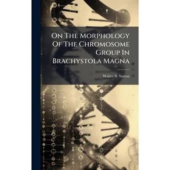 On The Morphology Of The Chromosome Group In Brachystola Magna