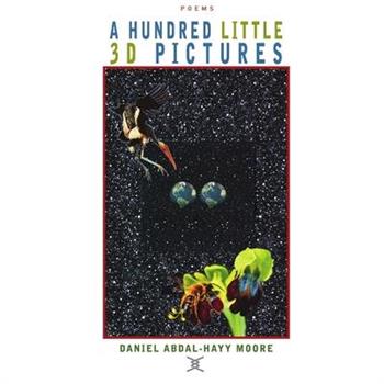 A Hundred Little 3D Pictures / Poetry