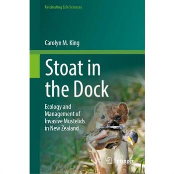 Stoat in the Dock