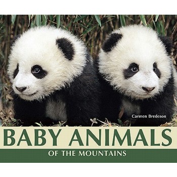 Baby Animals of the Mountains