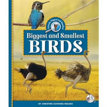Biggest and Smallest Birds