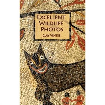 Excellent Wildlife Photos