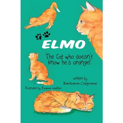 ELMO The Cat who doesn’t know he’s orange!