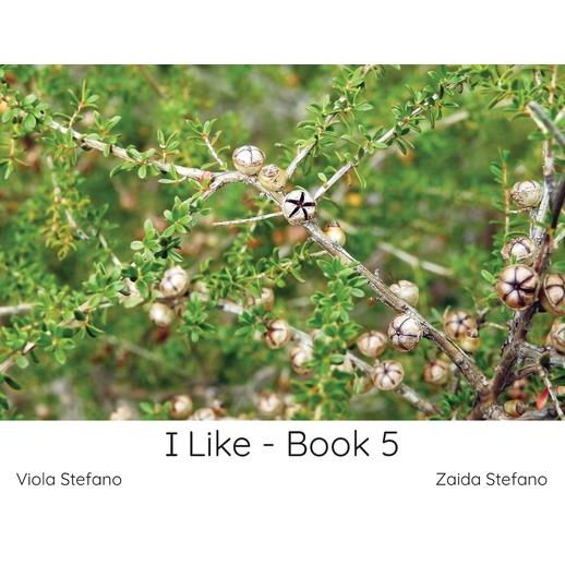 I Like - Book 5