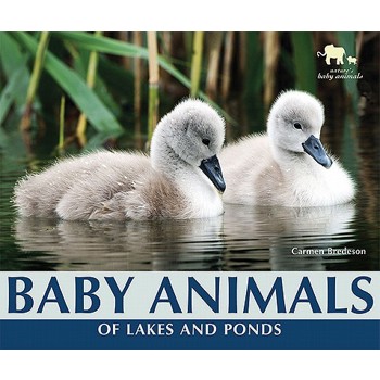 Baby Animals of Lakes and Ponds