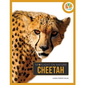 Cheetah
