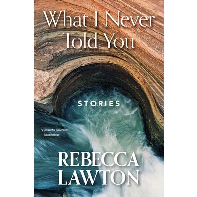 What I Never Told You