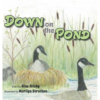 Down on the Pond
