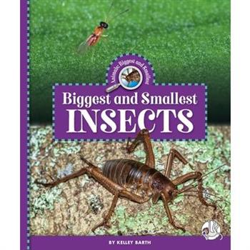 Biggest and Smallest Insects