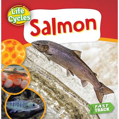 Salmon