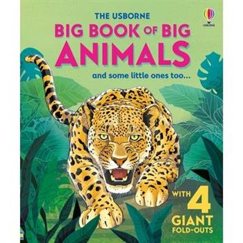 Big Book of Big Animals