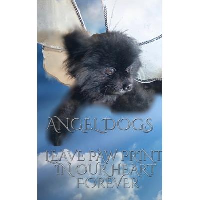 Angel Dog in Heaven