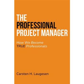 The Professional Project Manager