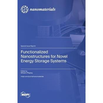 Functionalized Nanostructures for Novel Energy Storage Systems