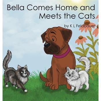 Bella Comes Home and Meets The Cats