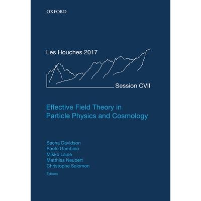 Effective Field Theories in Particle Physics and CosmologyLecture Notes of the Les Houches