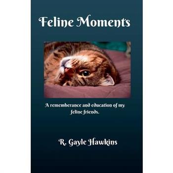 Feline Moments