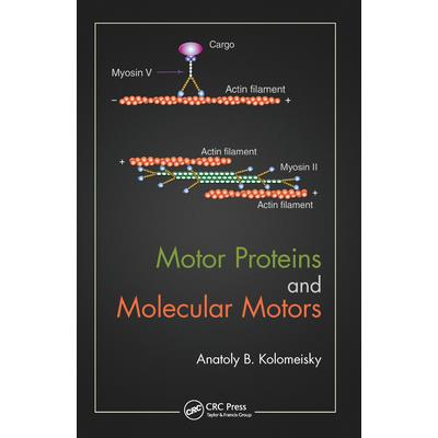 Motor Proteins and Molecular Motors