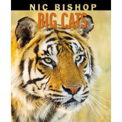 Big Cats