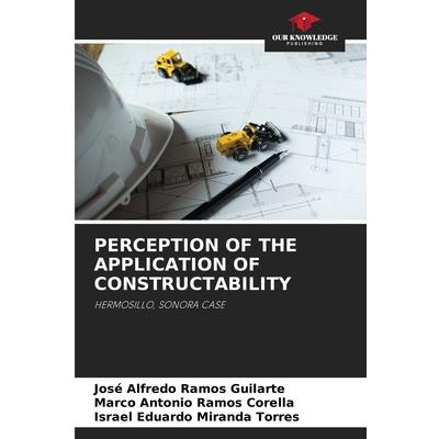 Perception of the Application of Constructability