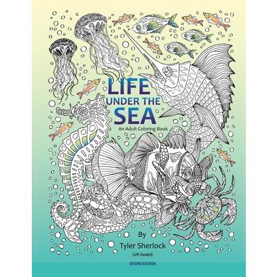 Through Women’s Eyes