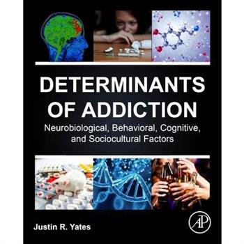 Determinants of Addiction