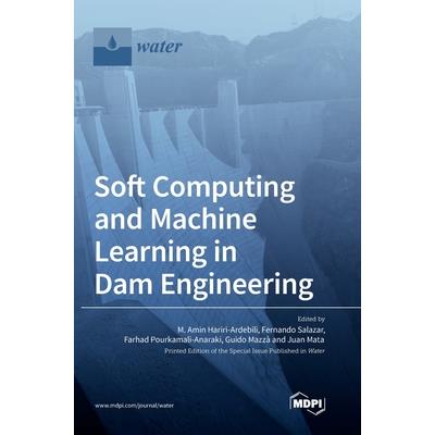 Soft Computing and Machine Learning in Dam Engineering