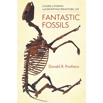 Fantastic Fossils