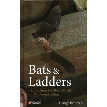 Bats & Ladders