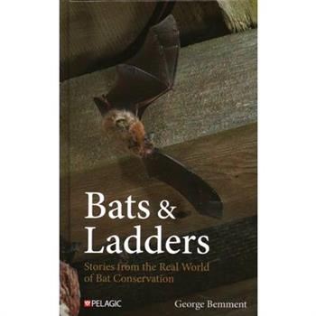 Bats & Ladders