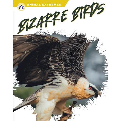 Bizarre Birds