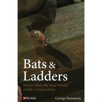 Bats & Ladders
