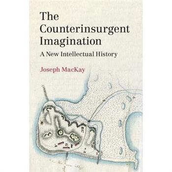 The Counterinsurgent Imagination