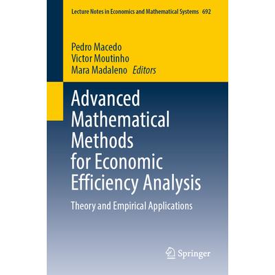 Advanced Mathematical Methods for Economic Efficiency Analysis