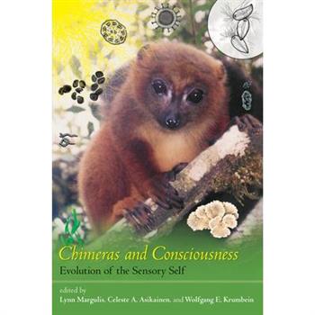 Chimeras and Consciousness