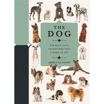 Paperscapes: The Dog