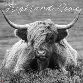 Highland Cows B&w 12 X 12 Wall Calendar