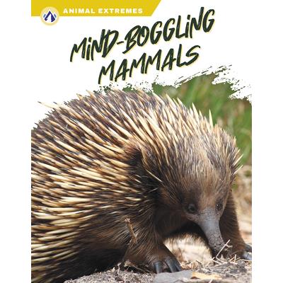 Mind-Boggling Mammals