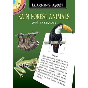 Learning about Rain Forest Animals