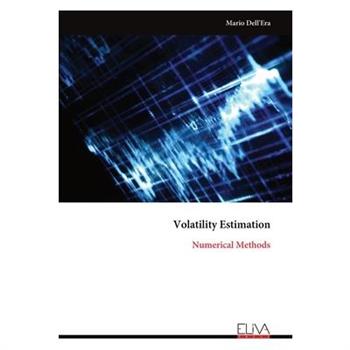 Volatility Estimation