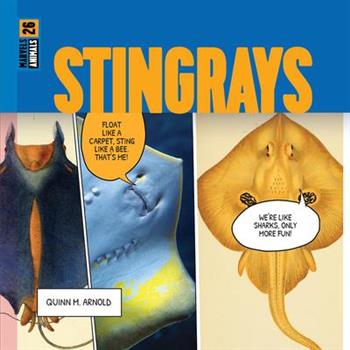 Stingrays