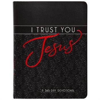 I Trust You Jesus