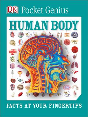 Human Body