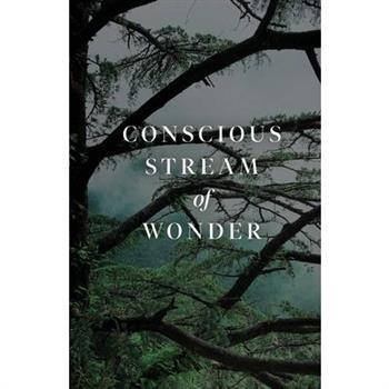 Conscious Stream of Wonder