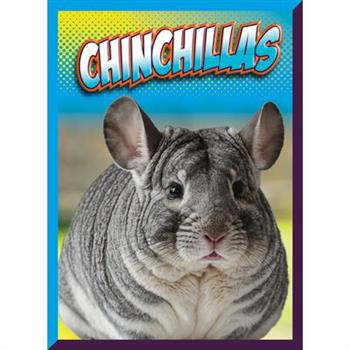 Chinchillas
