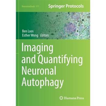Imaging and Quantifying Neuronal Autophagy