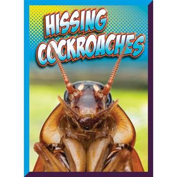 Hissing Cockroaches