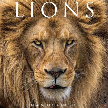 Lions 12 X 12 Wall Calendar