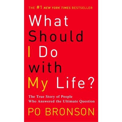 What Should I Do with My Life?