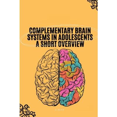 Complementary Brain Systems in Adolescents A Short Overview